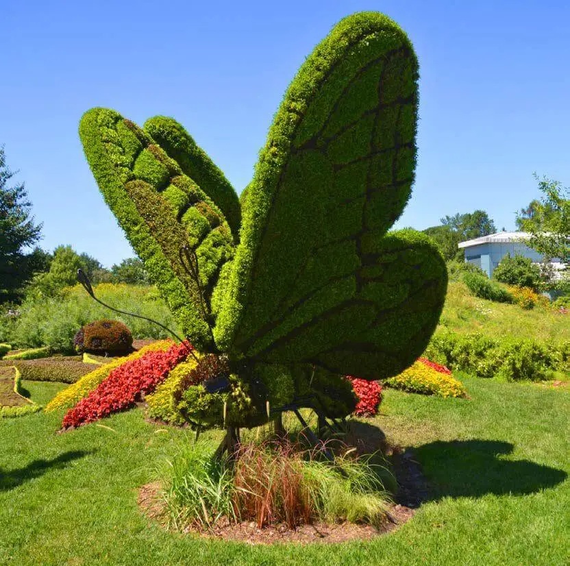 Designer Landscaped Gardens